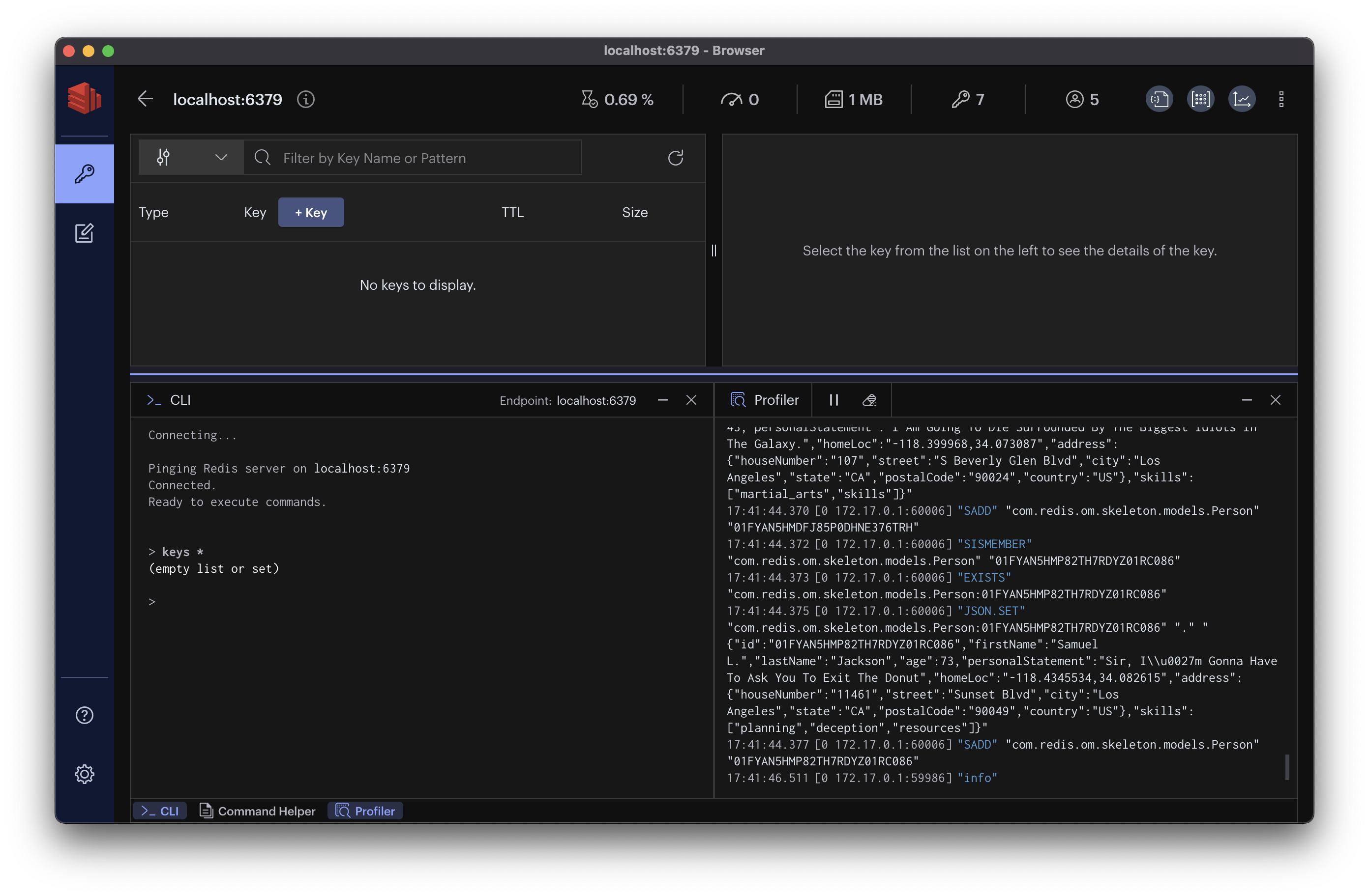 Redis Insight Redis Insight